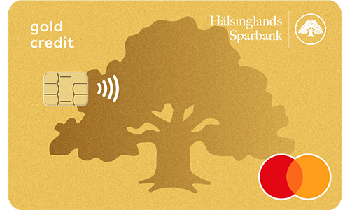 Betal- och kreditkort Mastercard Guld